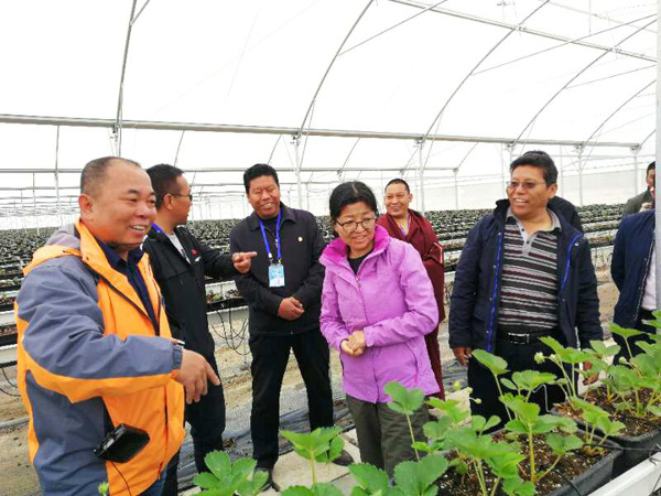 im电竞·(中国)电子竞技平台