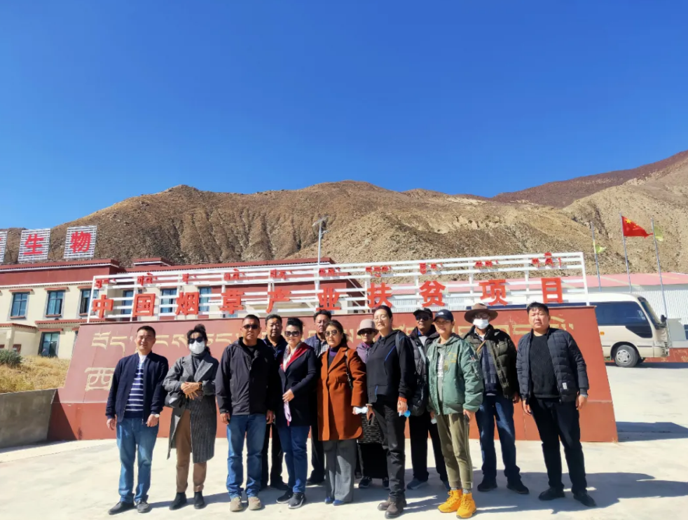 im电竞·(中国)电子竞技平台