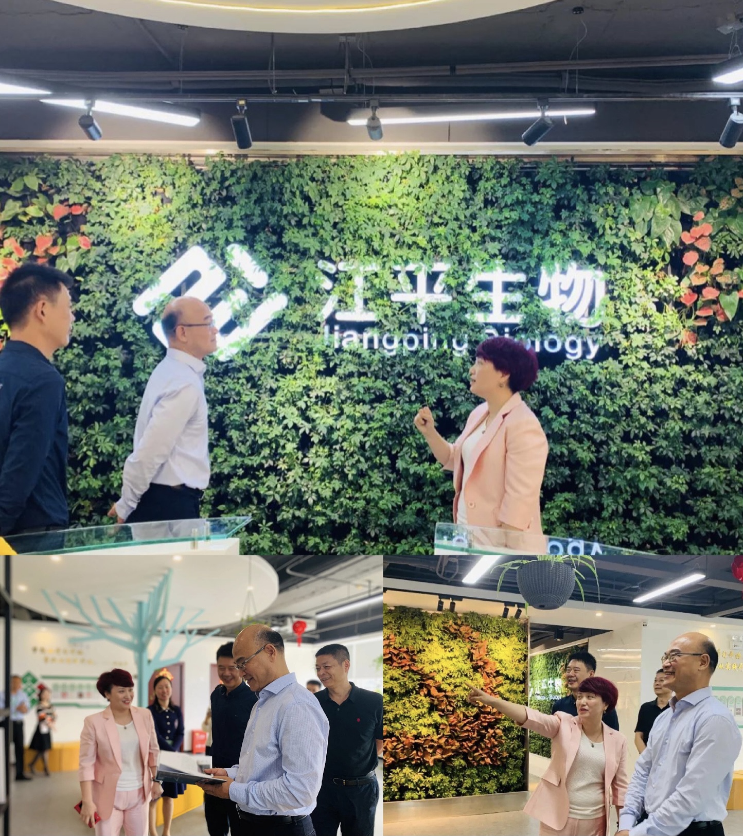 im电竞·(中国)电子竞技平台